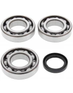 Rulmenti arbore cotit cu simeringuri All Balls POLARIS SPORTSMAN 400/500, MAGNUM 425/500