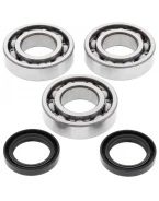 Rulmenti arbore cotit cu simeringuri All Balls POLARIS BIG BOSS 250 89-92, TRAIL BLAZER 250 90-92, TRAIL BOSS 250 88-92
