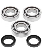 Rulmenti arbore cotit cu simeringuri All Balls POLARIS BIG BOSS 250 93, TRAIL BLAZER 250 93-98, TRAIL BOSS 93-98