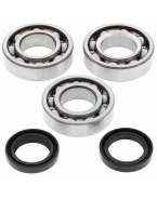 Rulmenti arbore cotit cu simeringuri All Balls POLARIS TRAIL BOSS / XPLORER 300