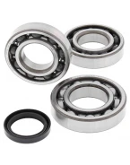 Rulmenti arbore cotit cu simeringuri All Balls HARLEY-DAVIDSON / POLARIS MAGNUM / TRAIL BOSS 325/330