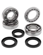 Rulmenti arbore cotit cu simeringuri All Balls POLARIS SPORTSMAN / TRAIL BOSS 350