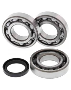 Rulmenti arbore cotit cu simeringuri All Balls POLARIS SPORTSMAN 400/500 HO '01-'03