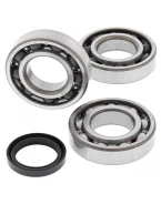 Rulmenti arbore cotit cu simeringuri All Balls POLARIS SPORTSMAN 400/500 '04-'13