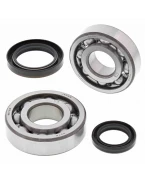 Rulmenti arbore cotit cu simeringuri All Balls SUZUKI RMX 250 '89-'94 - WYCOFANE Z OFERTY