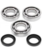 Rulmenti arbore cotit cu simeringuri All Balls POLARIS TRAIL BLAZER 250 99-06, TRAIL BOSS 250 99, XPLORER 250 00-02