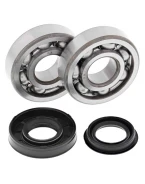 Rulmenti arbore cotit cu simeringuri All Balls POLARIS SPORTSMAN 90 07-10