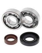 Rulmenti arbore cotit cu simeringuri All Balls KTM SX 50 '02-'08