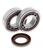 Rulmenti arbore cotit cu simeringuri All Balls KTM SX/EXC 400/450/520/525
