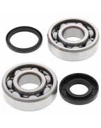 Rulmenti arbore cotit cu simeringuri All Balls HUSQVARNA CR/WR 125 '00-'13