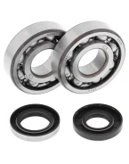 Rulmenti arbore cotit cu simeringuri All Balls HUSQVARNA CR/WR 250/360