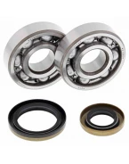 Rulmenti arbore cotit cu simeringuri All Balls GAS GAS EC 125 '03-'11
