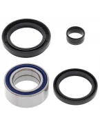 Rulmenti roata fata cu simeringuri All Balls HONDA TRX 300FW FOURTRAX 4X4 '88-'00,TRX 420 FA '09-'14,TRX 420 FE/FM '07-'13,TRX 420 FPA '09-