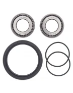 Rulmenti roata fata cu simeringuri All Balls POLARIS 300/350/400/500