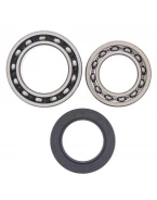 Rulmenti roata spate cu simeringuri All Balls YAMAHA YFM 350 BIG BEAR '87-'95
