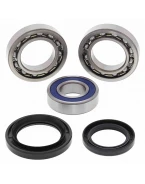 Rulmenti roata spate cu simeringuri All Balls YAMAHA YFM 350FX WOLVERINE '00-'05