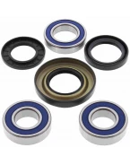 Rulmenti roata spate cu simeringuri All Balls HONDA TRX 350/400/450, TRX500 '01-'14