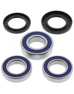 Rulmenti roata spate cu simeringuri All Balls SUZUKI GSXR1300 HAYABUSA '99-'07, GSXR600 '97-'00, TL1000R/S '97-'03
