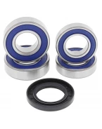 Rulmenti roata spate cu simeringuri All Balls HUSABERG '06-'07, KTM 600 LC4 (92)