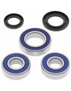 Rulmenti roata spate cu simeringuri All Balls KAWASAKI ZXR 750 87-90