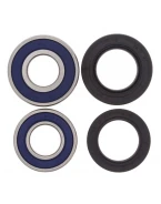 Rulmenti roata spate cu simeringuri All Balls HONDA XR 650R '00-'08