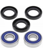 Rulmenti roata fata cu simeringuri All Balls BMW F 650 '93-'12, F 700 '13-'14 TYLNEGO YAMAHA XT600 '96-'00