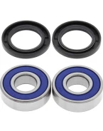 Rulmenti roata spate cu simeringuri All Balls HONDA CR125R 79-81