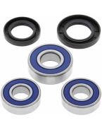 Rulmenti roata spate cu simeringuri All Balls HONDA XL 600V TRANSALP '87-'96, NX 650 '88-'99, FX 650 '99-'00, SLR 650