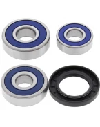Rulmenti roata spate cu simeringuri All Balls YAMAHA YX600 RADIAN '86-'90