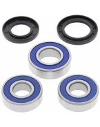 Rulmenti roata spate cu simeringuri All Balls SUZUKI DR 350SE '90-'95, DR 650SE '96-'14, XF650 FREEWIND '97-'01
