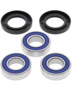 Rulmenti roata spate cu simeringuri All Balls YAMAHA YZ/WR DO (98), DT 125R/RE/X '91-'06