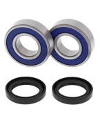 Rulmenti roata spate cu simeringuri All Balls KAWASAKI KLF 300B BAYOU '88-'04