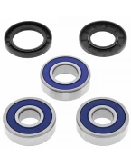 Rulmenti roata spate cu simeringuri All Balls KAWASAKI Z 1000 '10-'14, KLZ 1000 VERSYS '13, ZXR 750 '89-'90