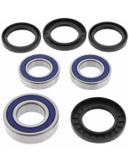Rulmenti roata spate cu simeringuri All Balls SUZUKI GSF1250 07-14, GSXR1000 01-18, GSXR1300 08-17, SV1000 03-07, GSX1250 11-12,GSXR600/750 01-09