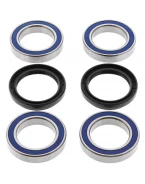 Rulmenti roata spate cu simeringuri All Balls YAMAHA YFZ 450 '04-'05