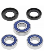 Rulmenti roata spate cu simeringuri All Balls GAS GAS EC 125 '01-'02, EC 200/250/300 '99-'02