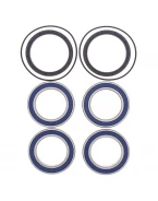 Rulmenti roata spate cu simeringuri All Balls SUZUKI LTR 450 '06-'12