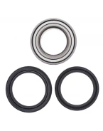 Rulmenti roata spate cu simeringuri All Balls SUZUKI LTA 700/750 KING QUAD '05-'18, LTA 450/500 '07-'18
