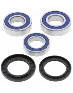 Rulmenti roata spate cu simeringuri All Balls YAMAHA FZ8 '12-'14