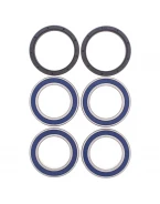 Rulmenti roata spate cu simeringuri All Balls CAN-AM DS450 EFI/STD/X '09-'14