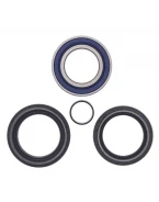 Rulmenti roata fata cu simeringuri All Balls HONDA TRX 500FA/FE/FM '05-'14, TRX 680 RINCON '06-'17