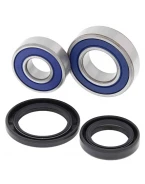 Rulmenti roata fata cu simeringuri All Balls HONDA TRX 700XX '08-'09