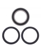 Rulmenti roata spate cu simeringuri All Balls CAN-AM DS450 EFI/STD/X '09-'14 UPGRADE