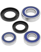 Rulmenti roata spate cu simeringuri All Balls SUZUKI GSXR600/750 '11-'17