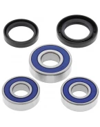 Rulmenti roata spate cu simeringuri All Balls BMW F650/ST '97-'99