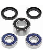 Rulmenti roata fata cu simeringuri All Balls HONDA CBR 600F4 '01-'06