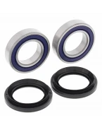 Rulmenti roata spate cu simeringuri All Balls YAMAHA YFM 125 GRIZZLY '13