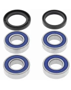 Rulmenti roata spate cu simeringuri All Balls BMW G650X CHALLENGE '06-'08, COUNTRY '06-'08