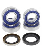 Rulmenti roata spate cu simeringuri All Balls BMW G650X '06-'07