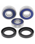Rulmenti roata spate cu simeringuri All Balls HONDA CBR250/300R '11-'16, CB300F '15-'16